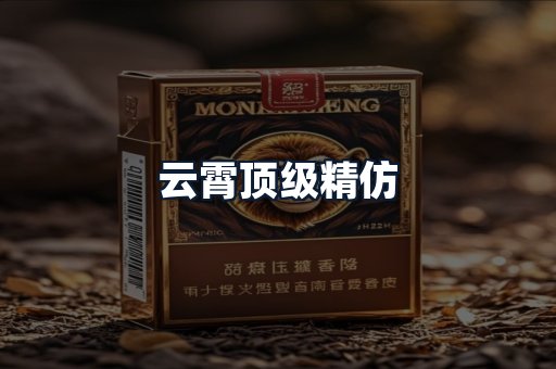 云霄顶级精仿